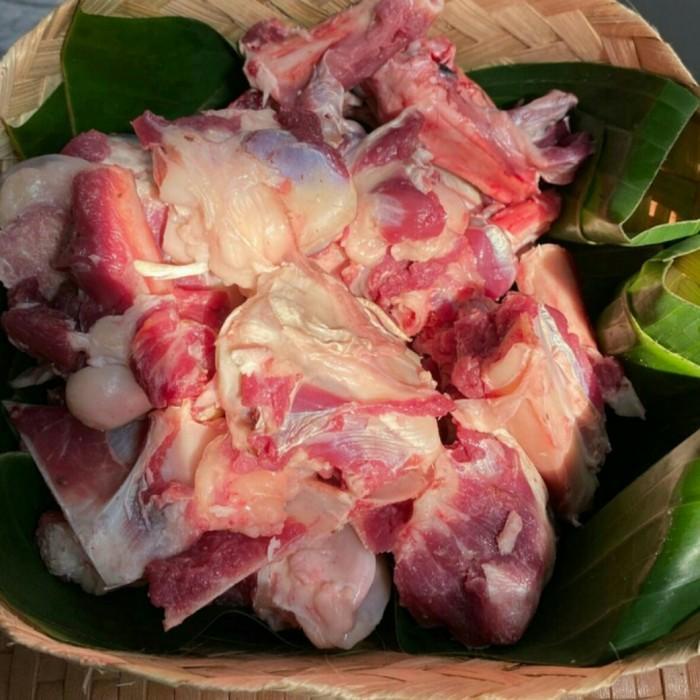 

Meat | Tulangan Kambing Muda 5Kilo Tulang Sumsum