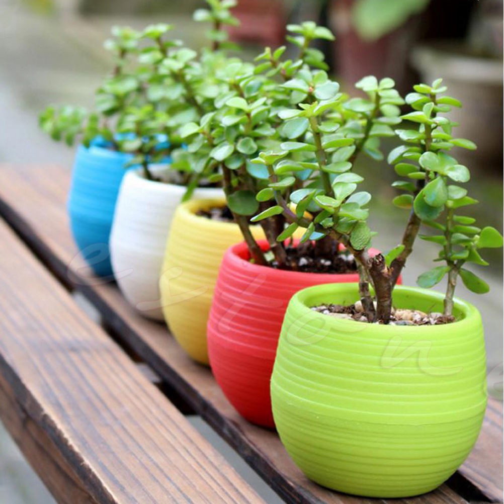 Pot Bunga Mini Bahan Plastik Warna Warni Ukuran 7 * 7cm