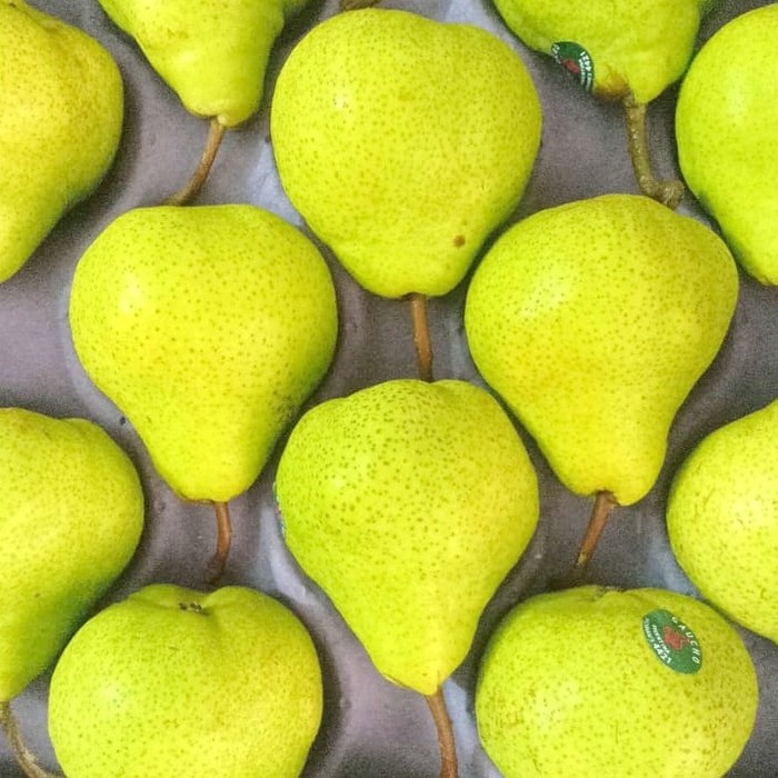 

Pear Australia / Pir Australia / Buah Pear / Buah Pir Kuning - 1kg
