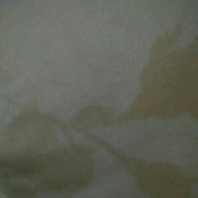 < Seprai > Kintakun Deluxe