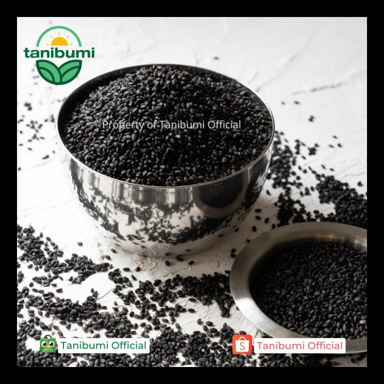 

READY STOK! TERMURAH BIJI SELASIH PREMIUM | 1KG | BASIL SEED - TANPA BUBBLE TERMURAH