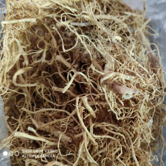 

Akar Ginseng Somchiu