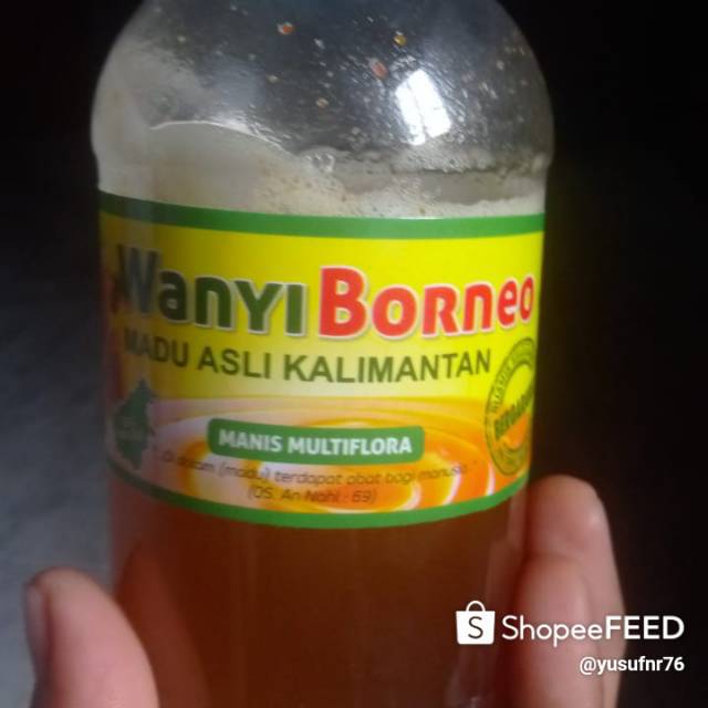 

Madu hutan kalimantan wanyi borneo