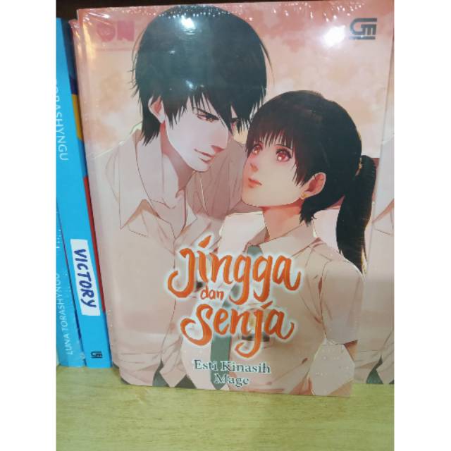 buku jingga untuk matahari