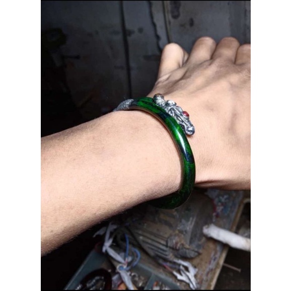 akar bahar naga hijau