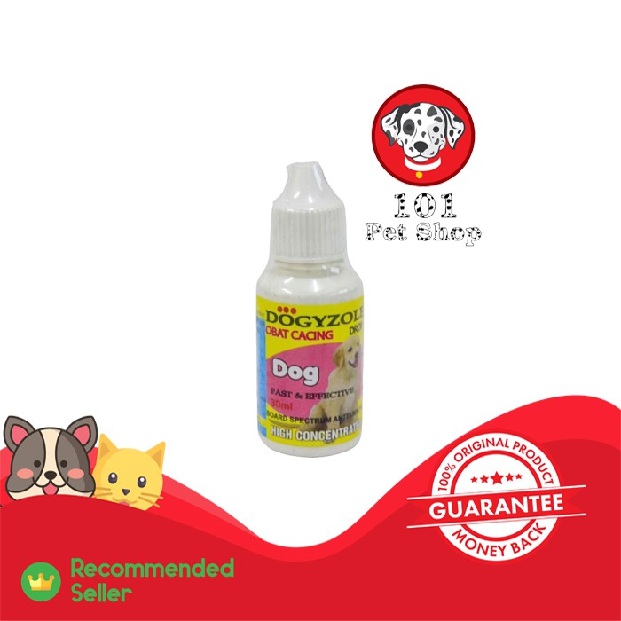 obat flu dog untuk anjing