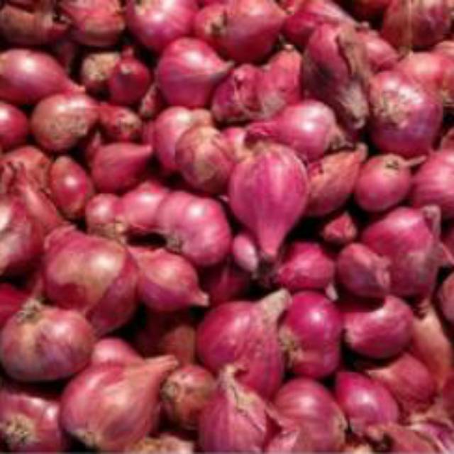 

Bawang Merah