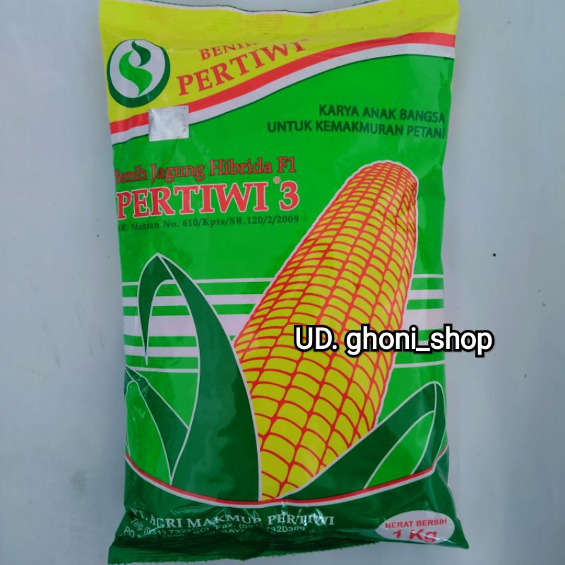 benih jagung pertiwi 3