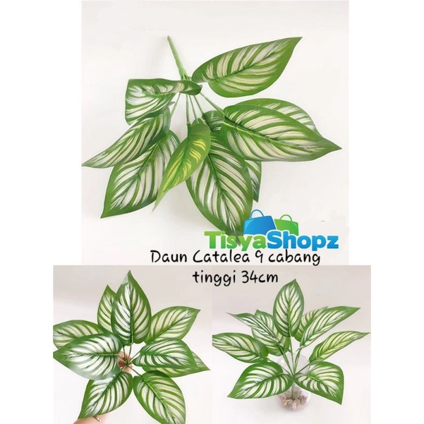 Daun Keladi 9 cabang tinggi 34cm ( Tanpa Pot )