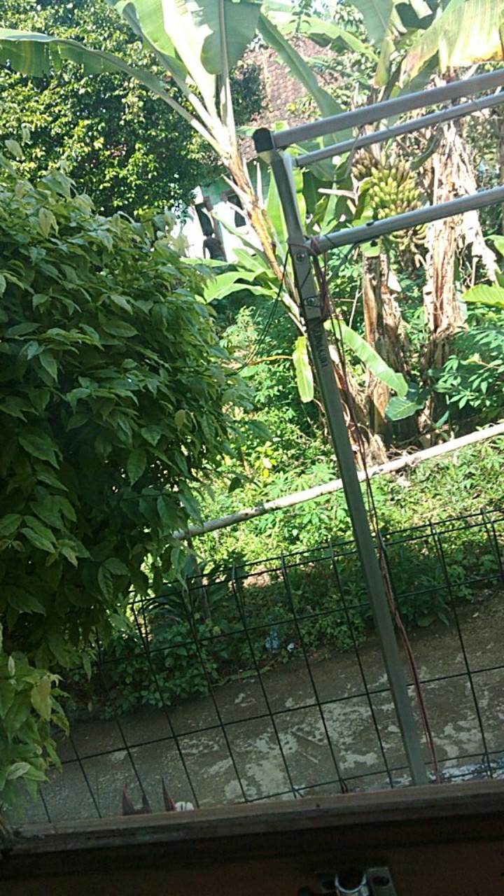 Apm Super Clean 1 Liter Bonus Kuas