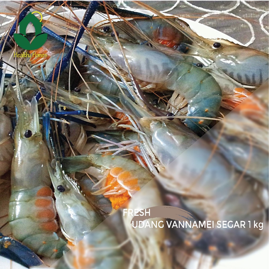 

Udang Vannamei Utuh Segar Jabodetabek