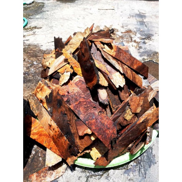limbah potongan kayu burl