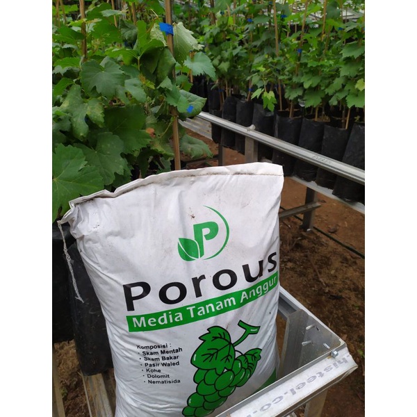 Media Tanam Anggur Porous