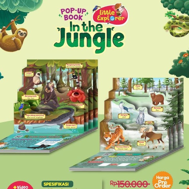 POP UP BOOK In The Jungle