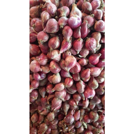 

bawang merah pati