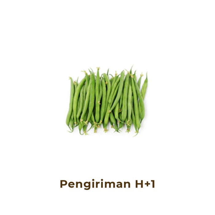 

Baby Buncis / Green Bean Fresh