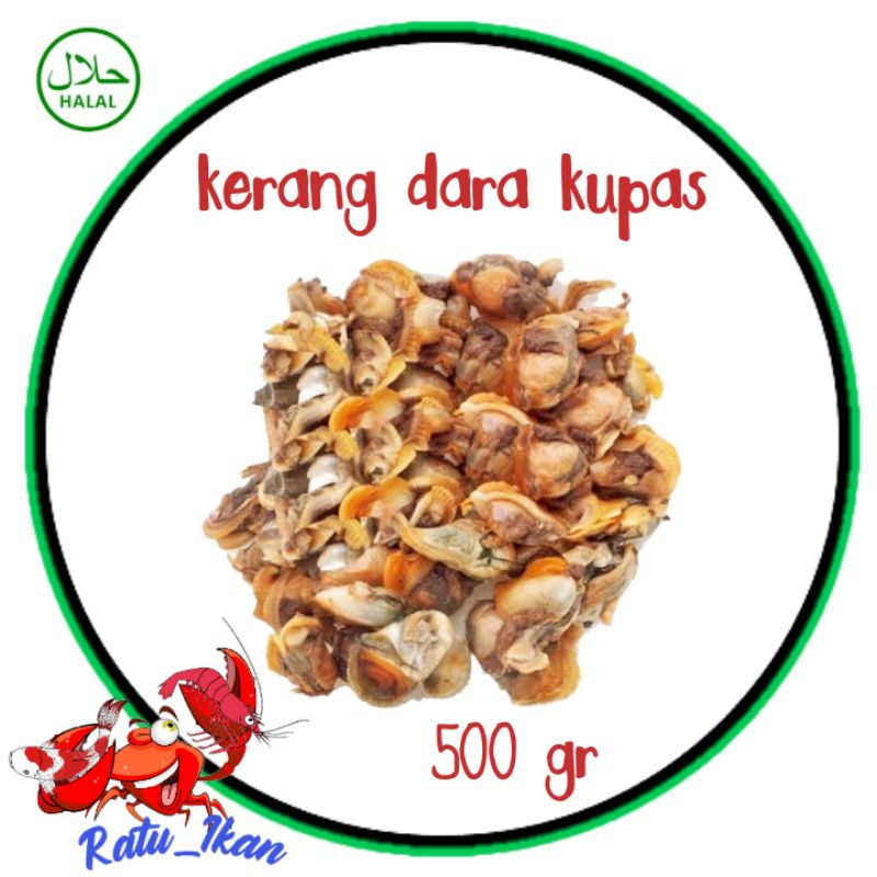 

kerang dara kupas [500gram] ratu_ikan