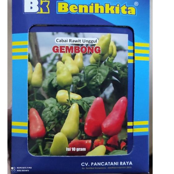 Top Produk.. Cabe Rawit Gembong Type cempluk