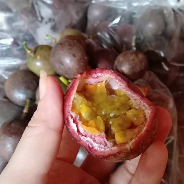 

Buah markisa asli medan