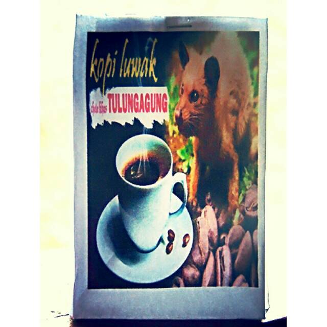 

Kopi luwak asli Tulungagung