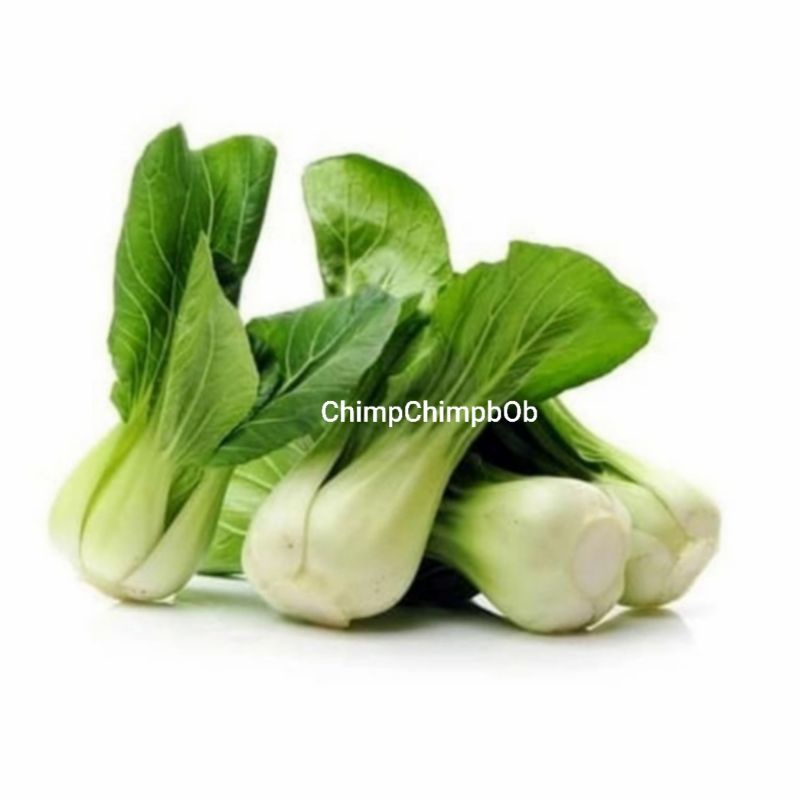 

BOKCOY SEGAR 500 GRAM / BOKCAY / SAWI SENDOK