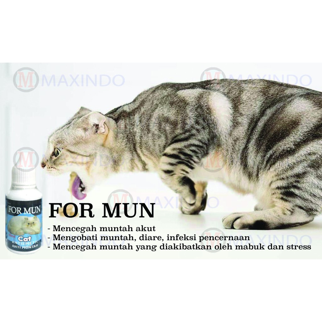 Obat Anti Muntah Kucing Maxindo For Mun Cat 30 ml