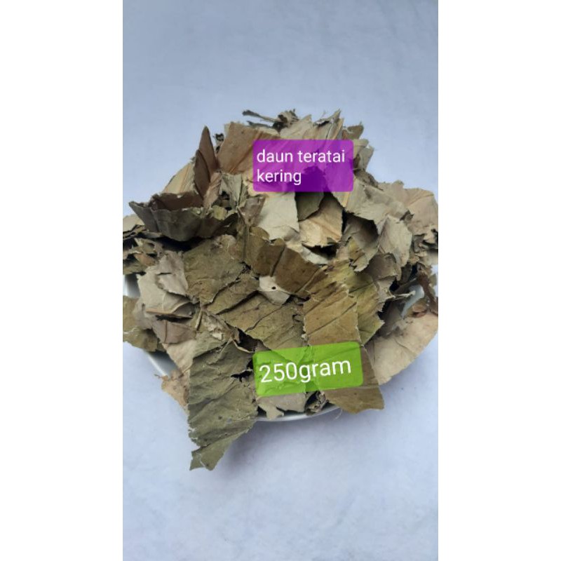 

Daun Teratai Kering ( potongan) 250gram/ Dried Lotus Leaf