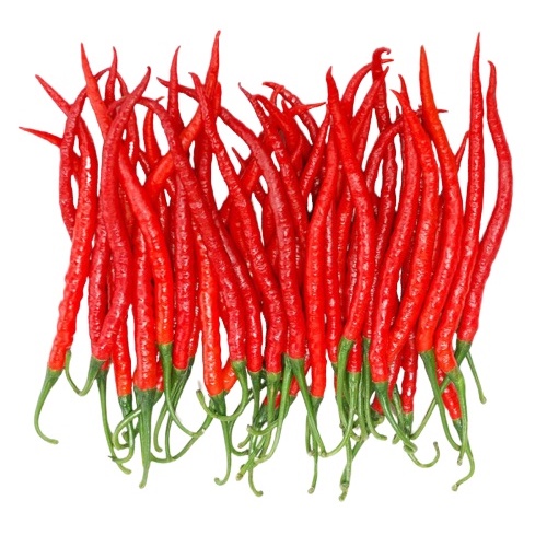 

Sayuran ~ ( Per 250 gram) Cabai Rawit Merah Segar
