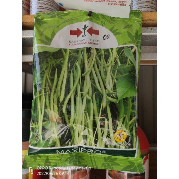 maxipro buncis 500gr