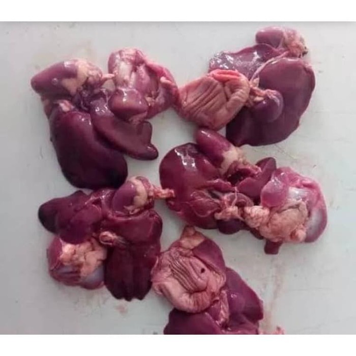 

Ati Ampela Ayam Sepasang Fresh Isi 5 pcs