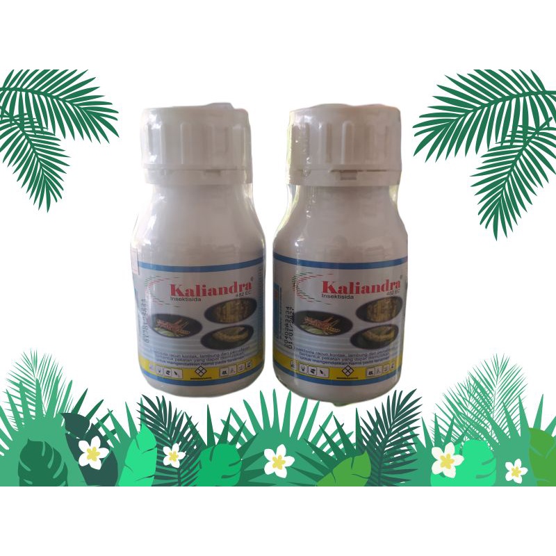 INSEKTISIDA KALIANDRA 200ML