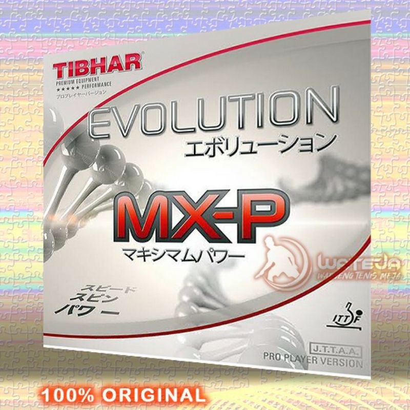 Tibhar EVOLUTION MX-P