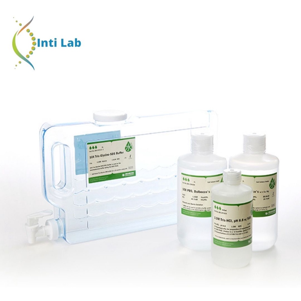 iNtRON 10X TAE Buffer (Expired Date)