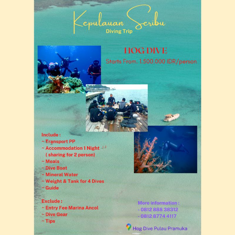 Diving Trip / Wisata Selam Pulau Seribu