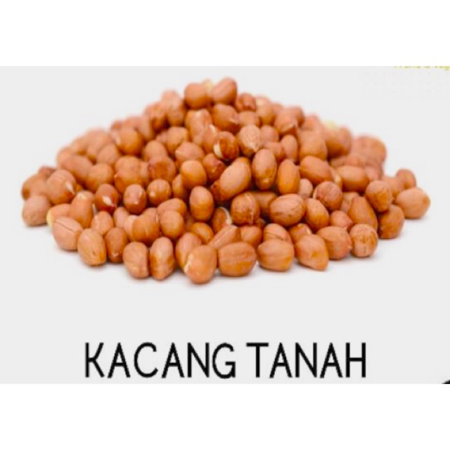 

Kacang Tanah Super
