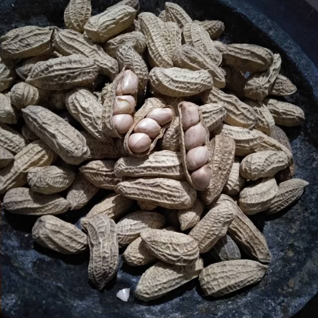 

Kacang Bendo Blitar 500 gram