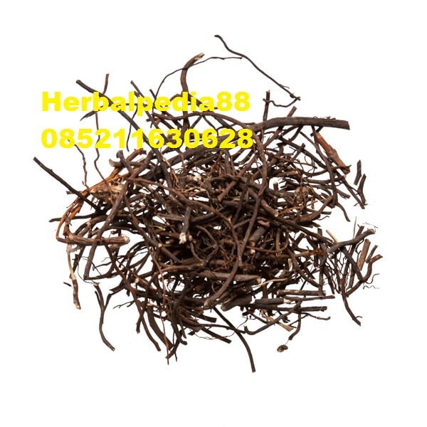 

Wei Ling Xian Clematis Root Six-Petal Clematis Root 100 gram