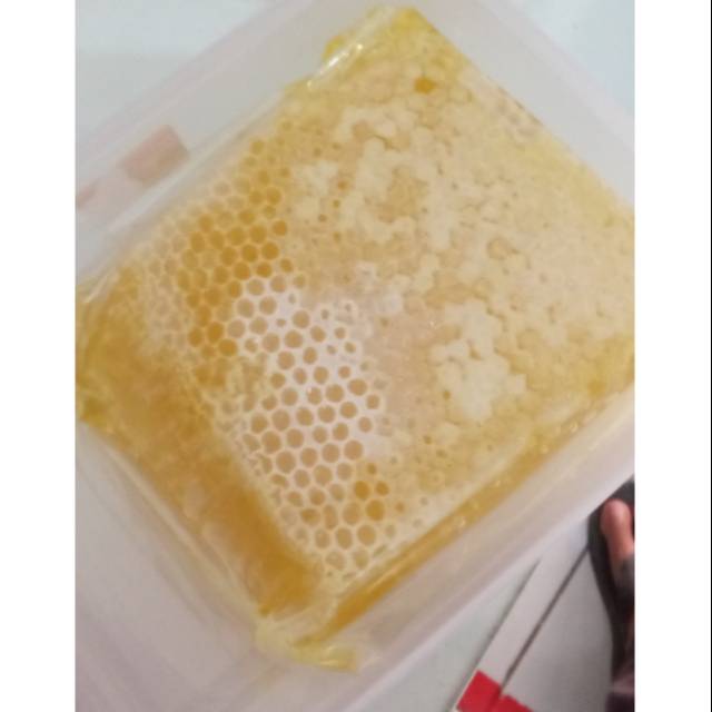 

Madu Sarang (Pure Honey Comb)
