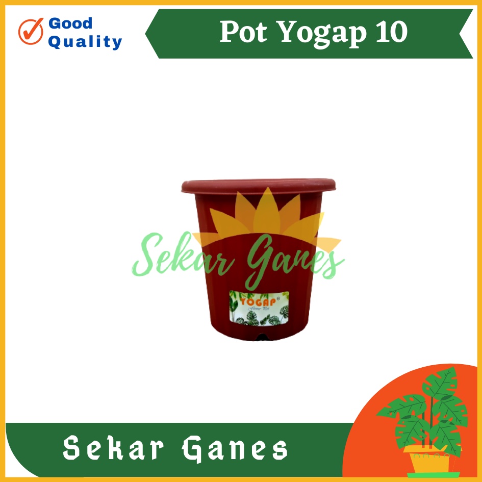 LUSINAN Pot Yogap 10 Putih Transparan Bening Merah Bata Isi 12 pcs Pot Yogap 10 13 15 17 18 19 Pot Yogap Bening LUSINAN POT YOGAP MURAH