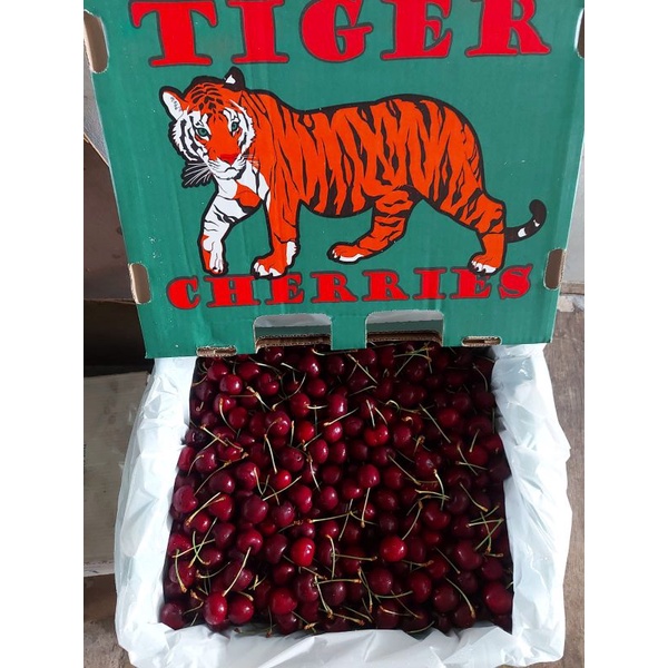 

buah cherry canada fresh 3 kg / cheries / buah cherry #buahcherry #cheries #cherrycanada