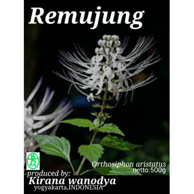 

Kumis Kucing Bubuk 500g Remujung - Kirana