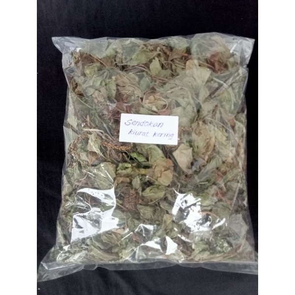 Daun Sendok Kering Kiurat Original