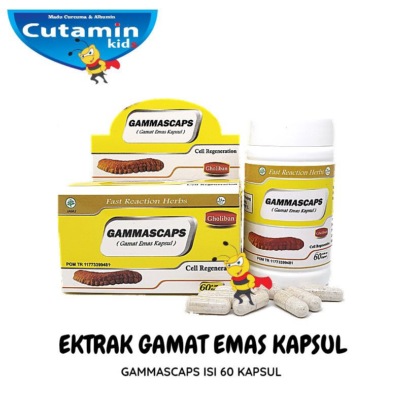 GAMAT EMAS EKSTRAK GAMMASCAPS ISI 60 KAPSUL