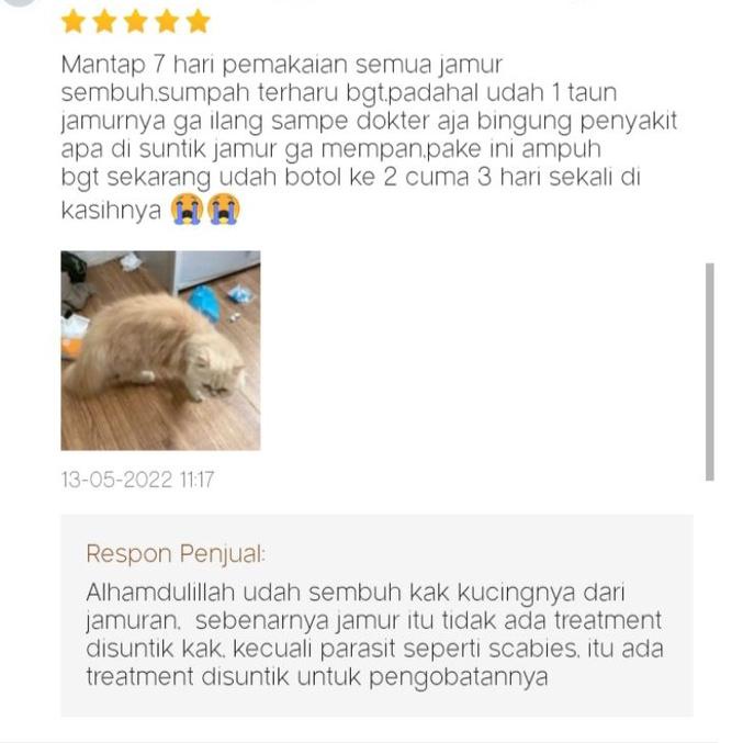 Serbuuuu.. Obat Jamur Anjing Kucing Kitten Griforce Anti Jamur Ringworm Parasit Kulit Berkerak Alerg