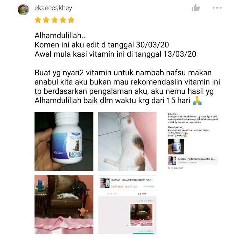 VITAMIN KUCING NAFSU MAKAN KUCING PENGGEMUK KUCING VITAMIN BULU KUCING RONTOK ANTIBODY VITAMIN KUCING BIAR GEMUK VITAMIN NAFSU MAKAN KUCING BULU RONTOK OBAT KUCING VITAMIN KITTEN VITAMIN KUCING GEMUK