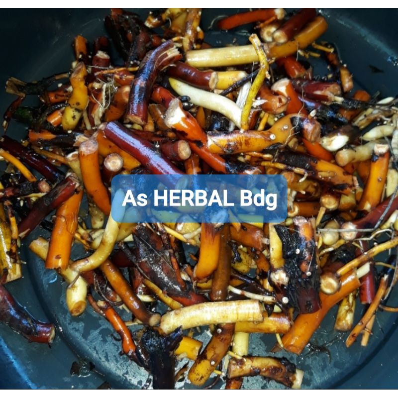 

Akar pohon kelapa segar paket 1 kg-az