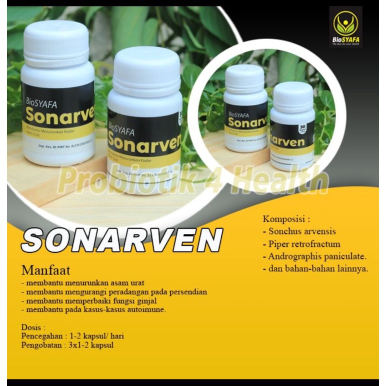 SONARVEN &gt; ASAFIT