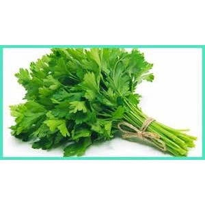 

Daun Seledri / Daun Sop / Segar Murah 1 ikat