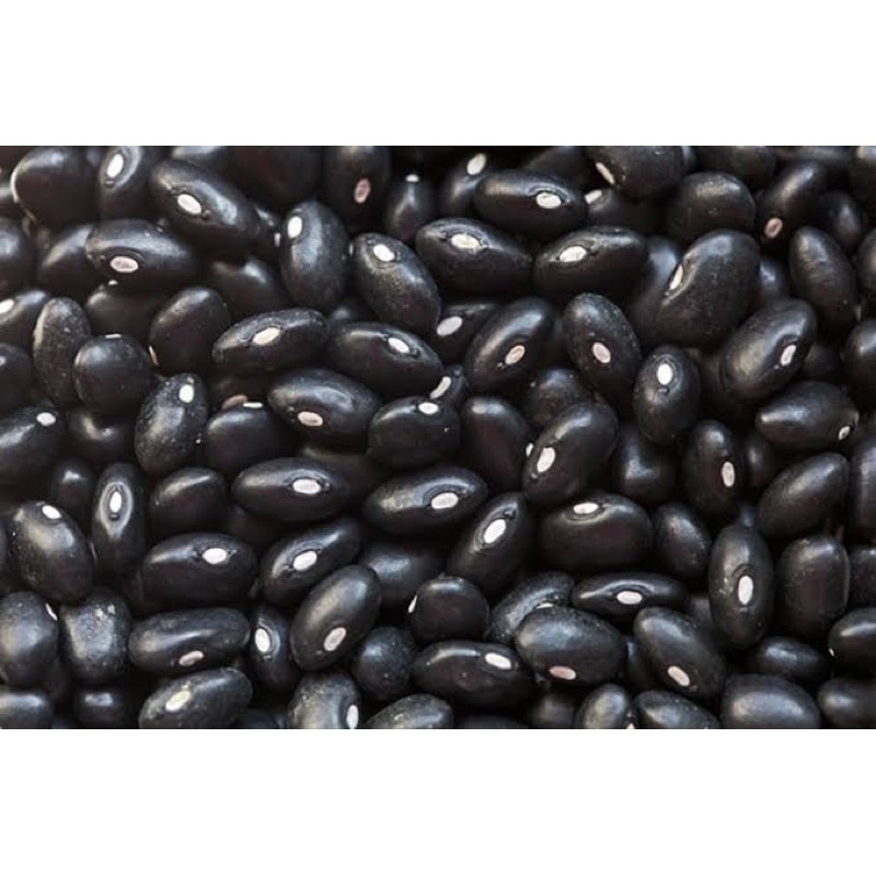 KACANG HITAM ORGANIK 1 kg / black bean organic import china