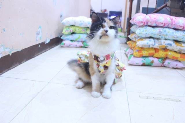 Dress kuning motif gambar kucing lucu untuk kucing dan anjing / baju kucing murah size S M L XL